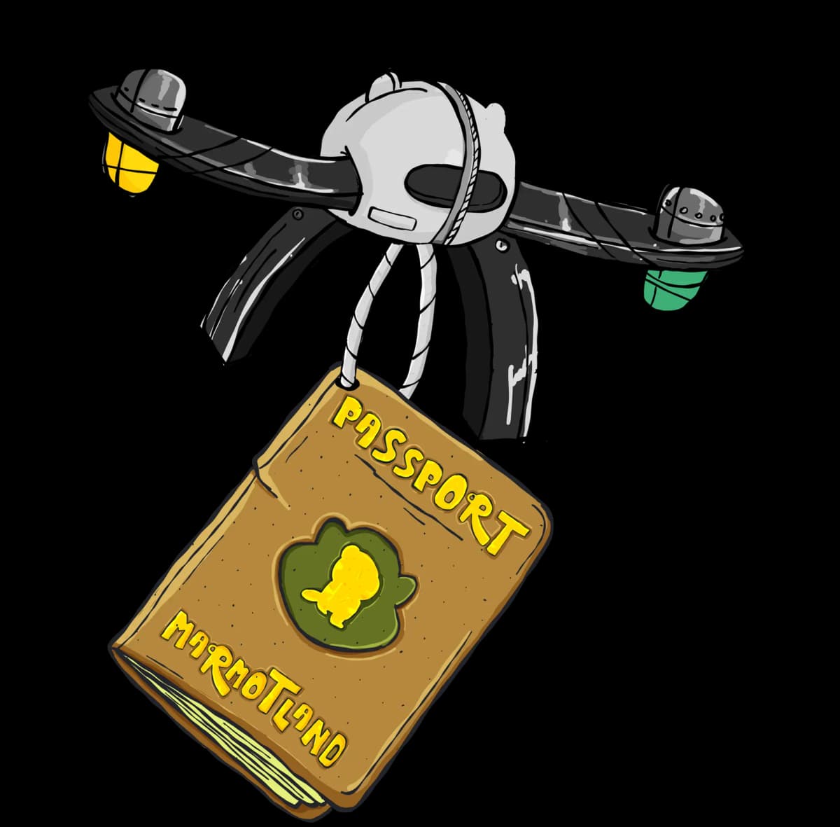 NFT Passport with drone